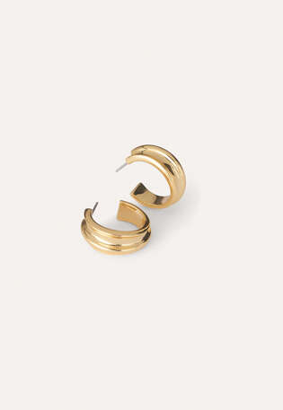 Earrings, Gold, webstill