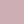 Lilac rose