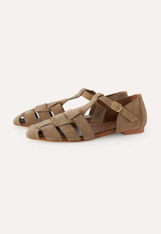 Fisherman sandal, Mushroom, webstill