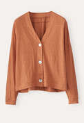 V-neck cardigan, Burnt orange, webstill